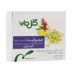 ممولیت